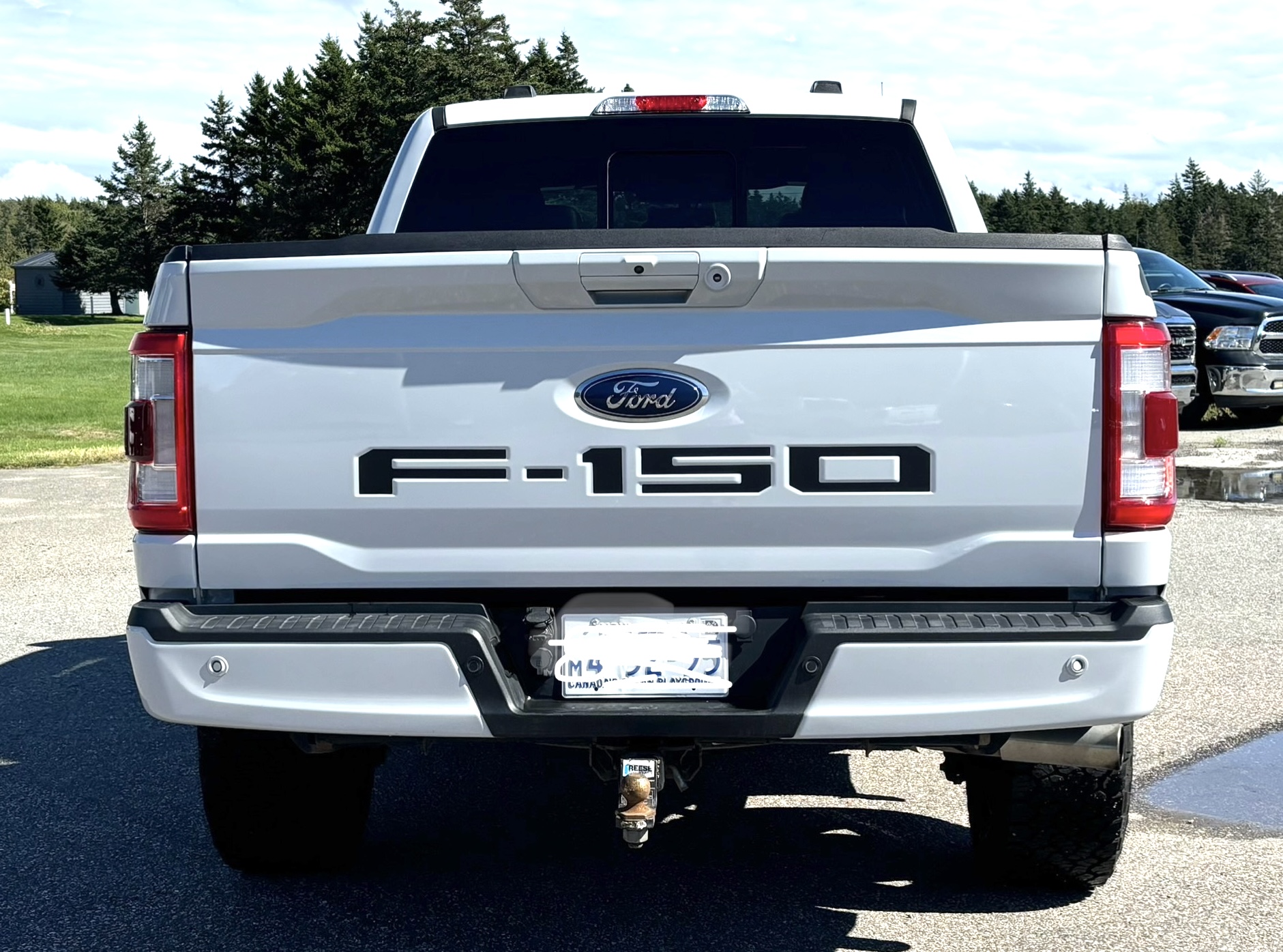 Ford F-150 custom tailgate lettering